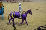 Quadrille - 00451